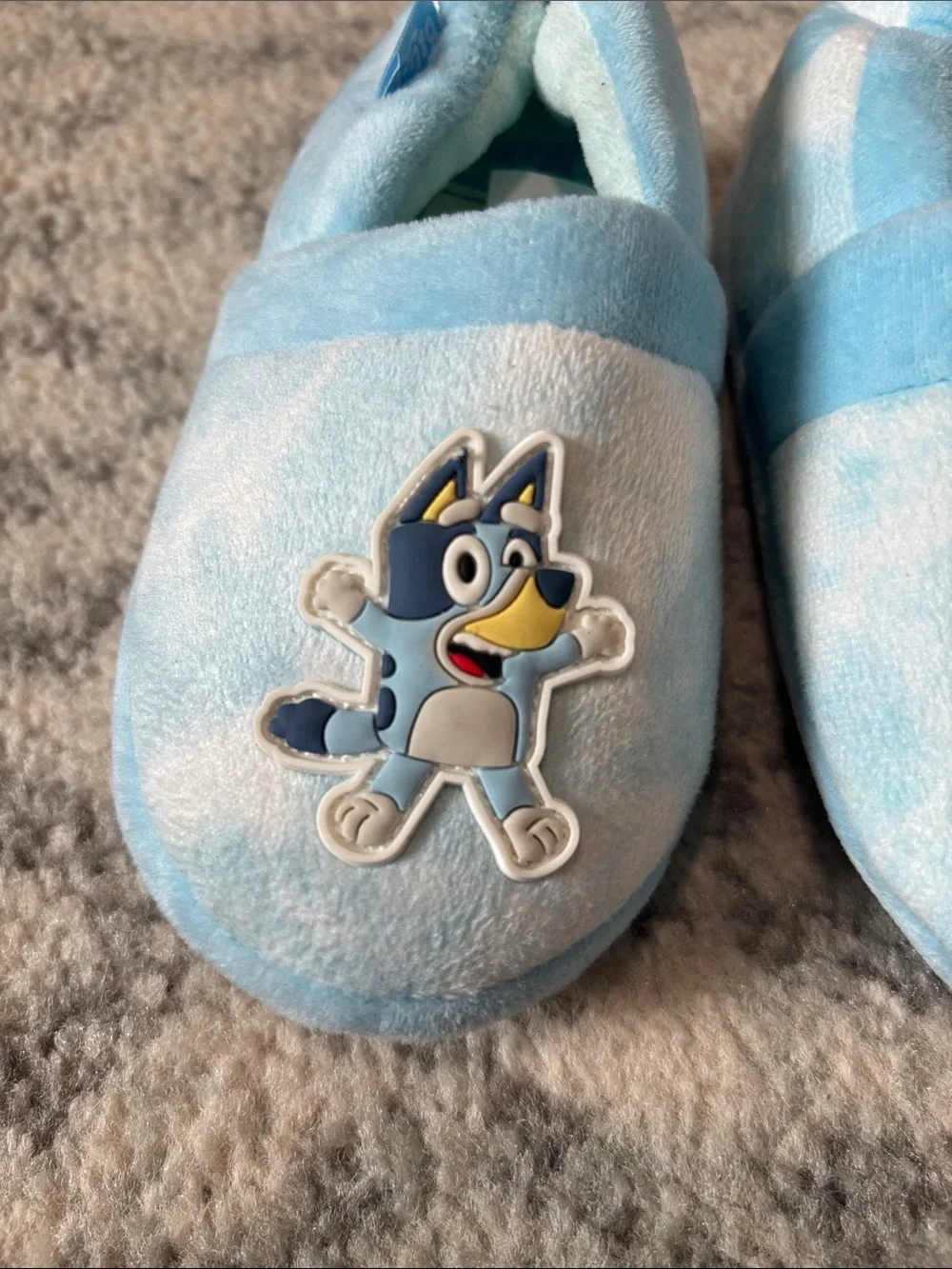 Bluey Kids Slippers